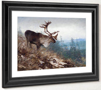 Yukon King Caribou By Carl Rungius Fine Art Print
