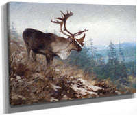 Yukon King Caribou By Carl Rungius Fine Art Print