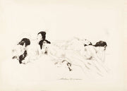 Flowers by Arthur Bowen Davies