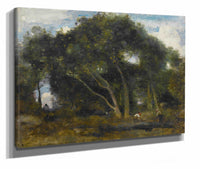 Fontainebleau Chenes Inclines Dans Une Eclaircie De Foret by Jean Baptiste Camille Corot