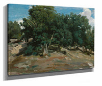 Fontainebleau Oak Trees At Bas Breau by Jean Baptiste Camille Corot