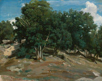 Fontainebleau Oak Trees At Bas Breau by Jean Baptiste Camille Corot