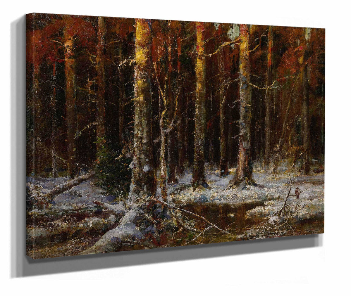 Forest In Winter by Julius Sergius Klever