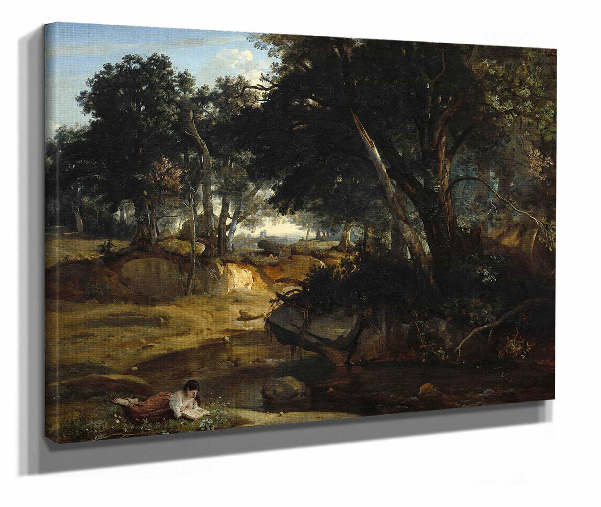 Forest Of Fontainebleau by Jean Baptiste Camille Corot