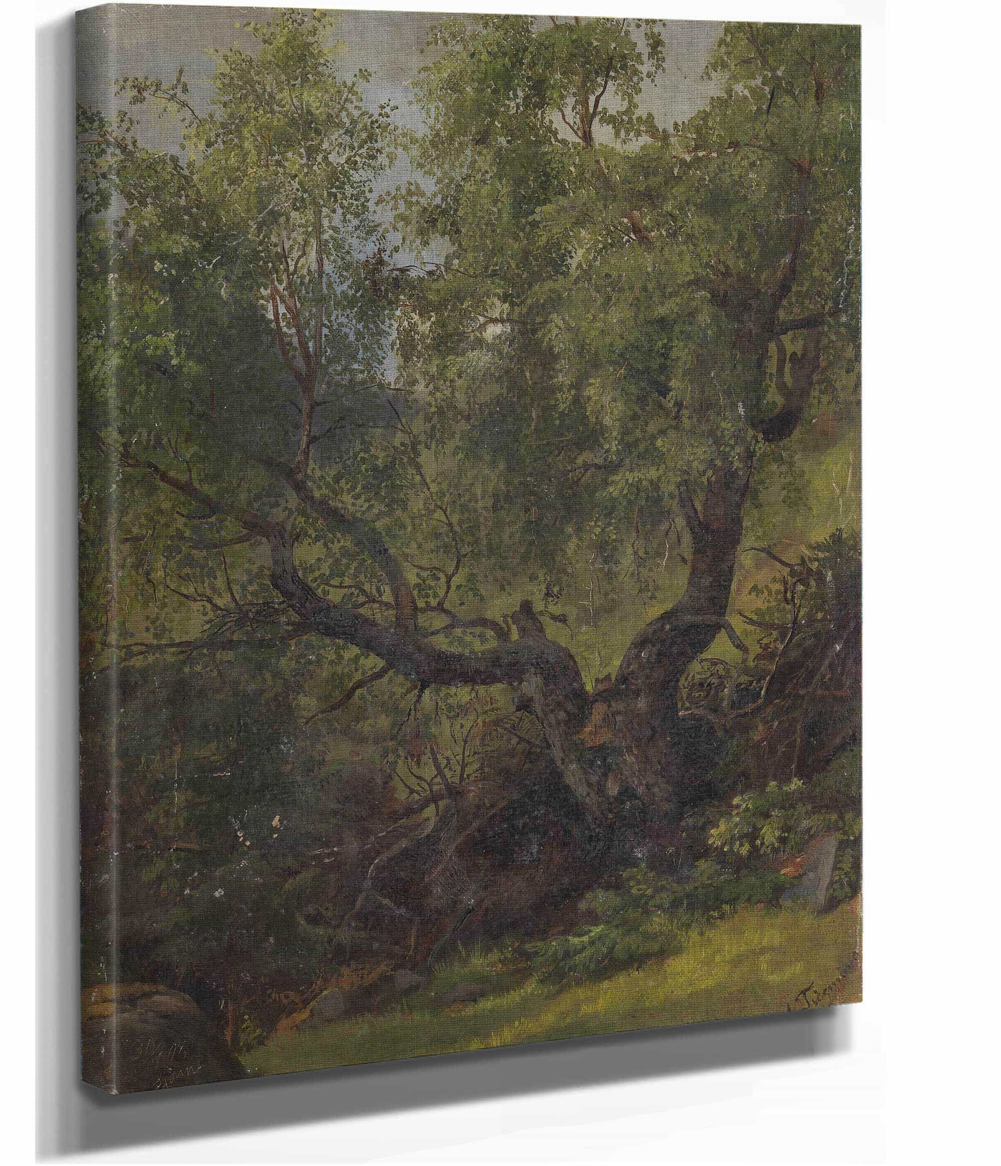 Forest Study From Numedal by Adolph Tidemand