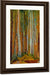 Forest Tree By Trunks By Emily Carr