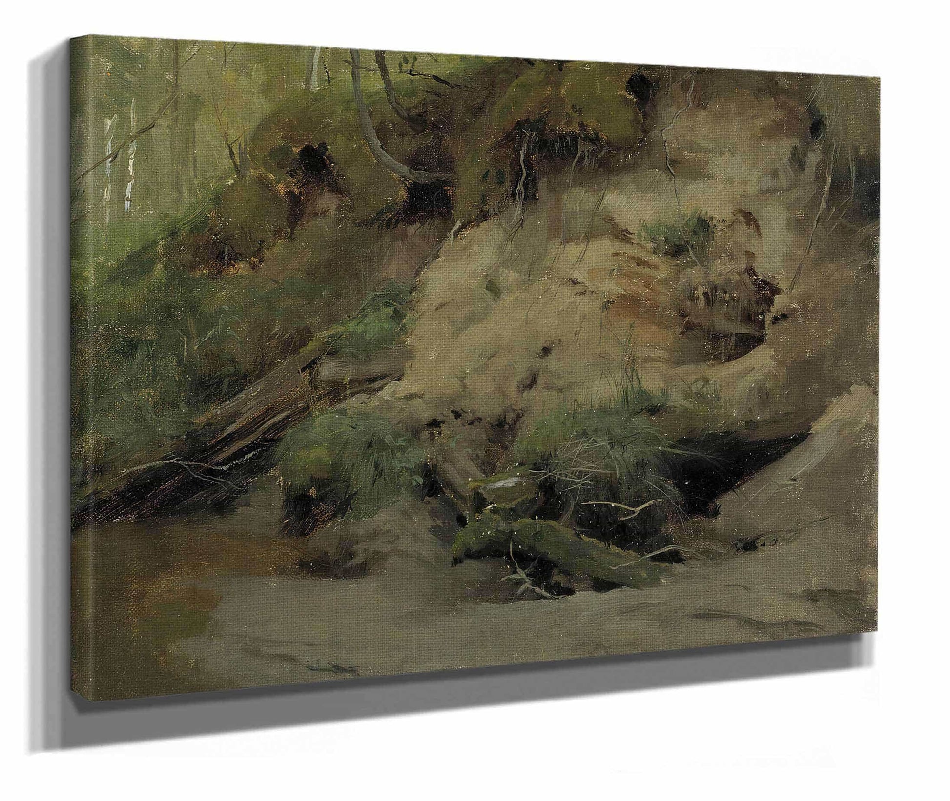 Forest With A Sandy Slope by Eero Jarnefelt