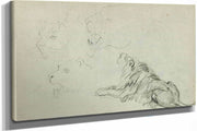 Four Lion Studies  by Theodore Gericault
