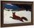 Fox By Hunt By Winslow Homer