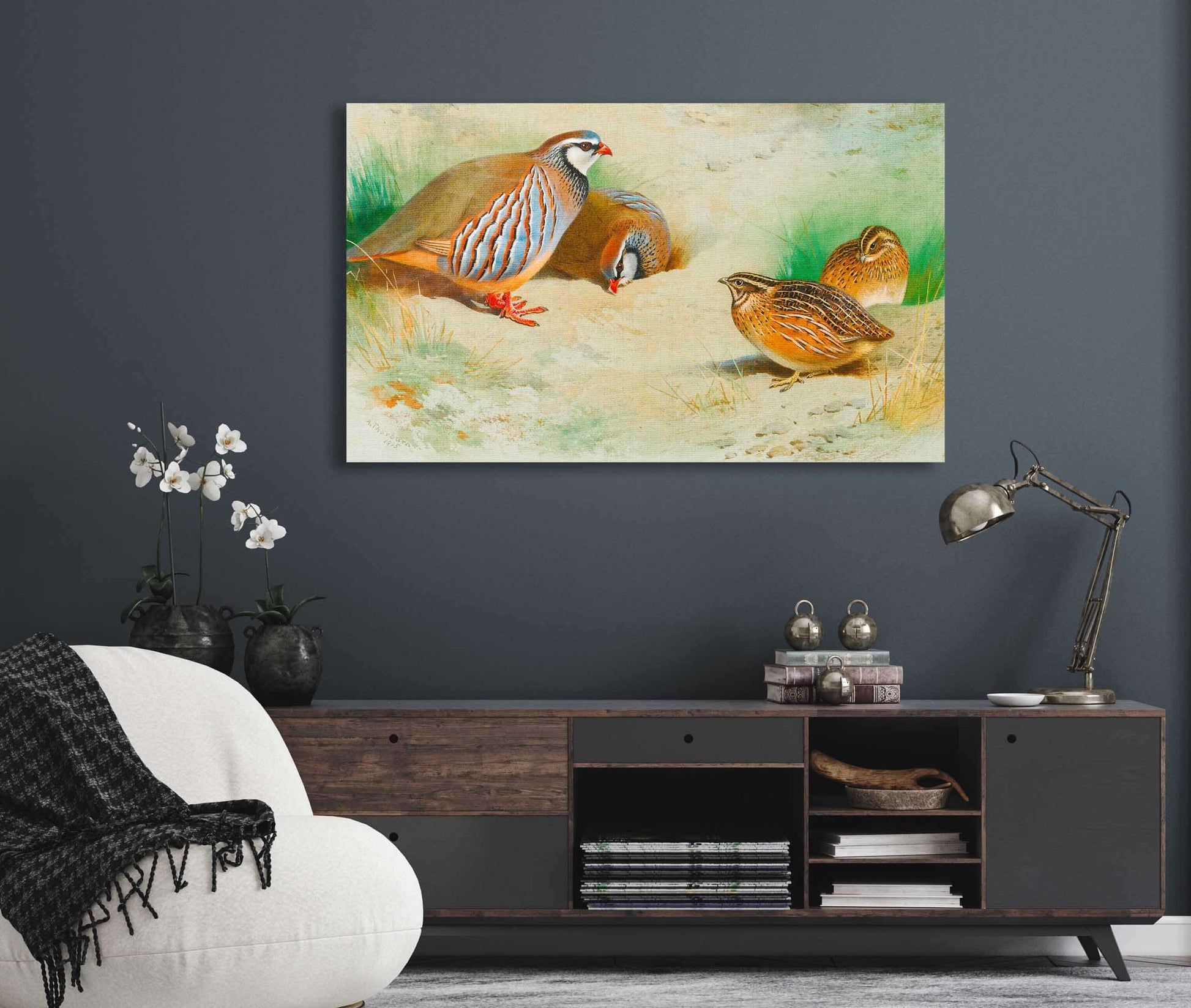 French Partridge And Chicks by Archibald Thorburn