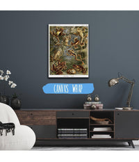 Frog (Batrachia). - Frösche