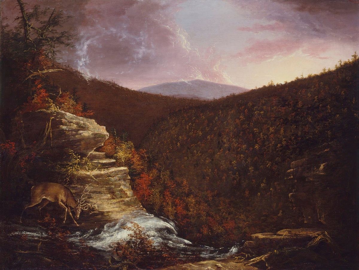 From The Top Of Kaaterskill Falls by Thomas Cole