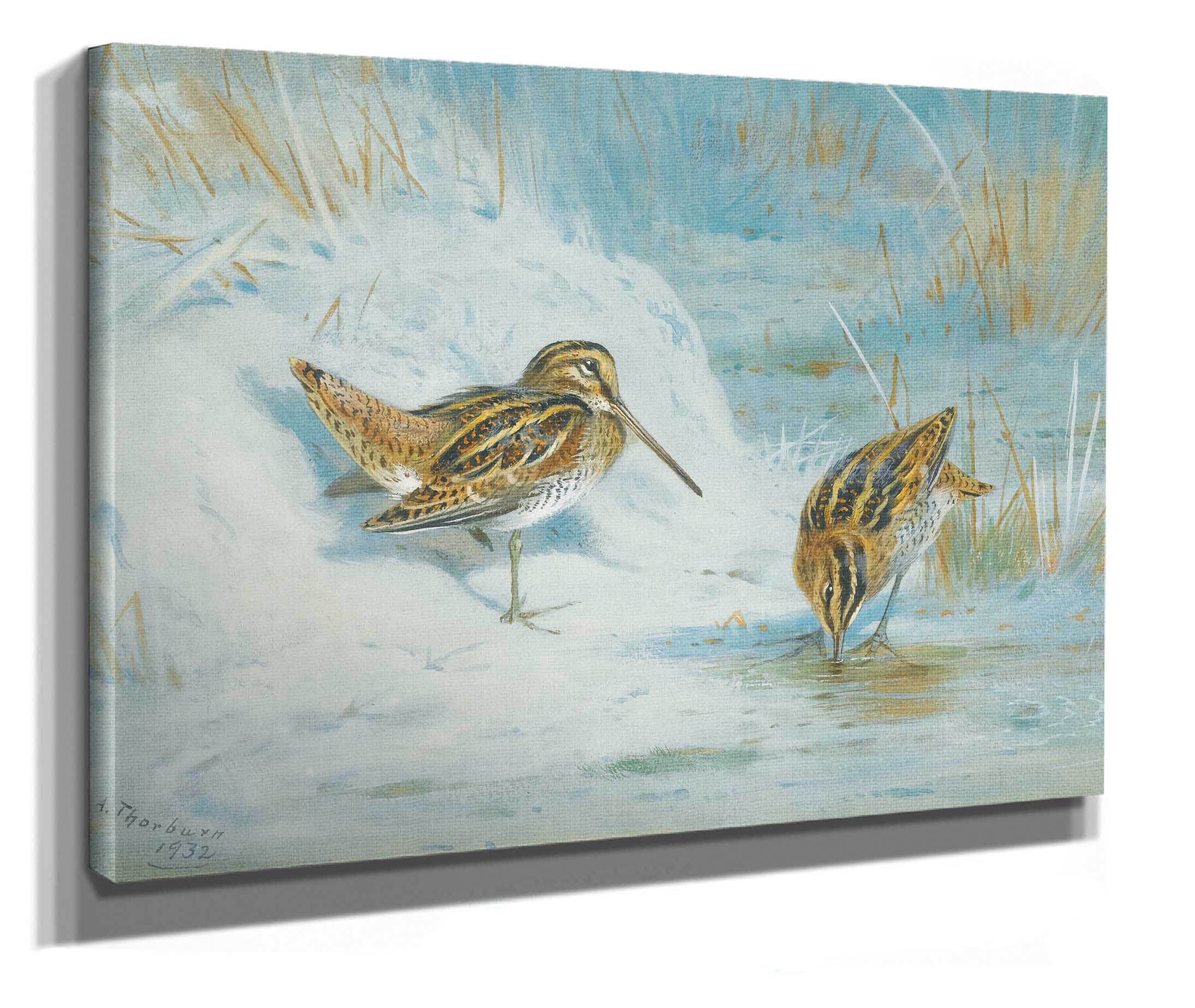 Frozen Out Snipe by Archibald Thorburn