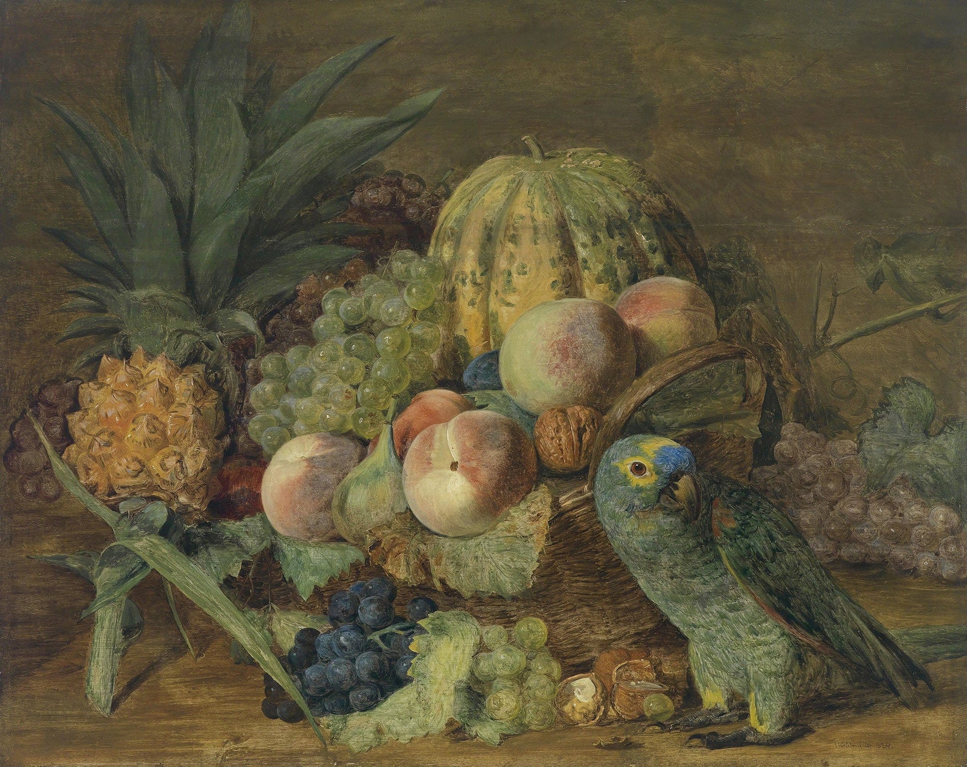 Fruchtestillleben Mit Papagei by Ferdinand Georg Waldmuller