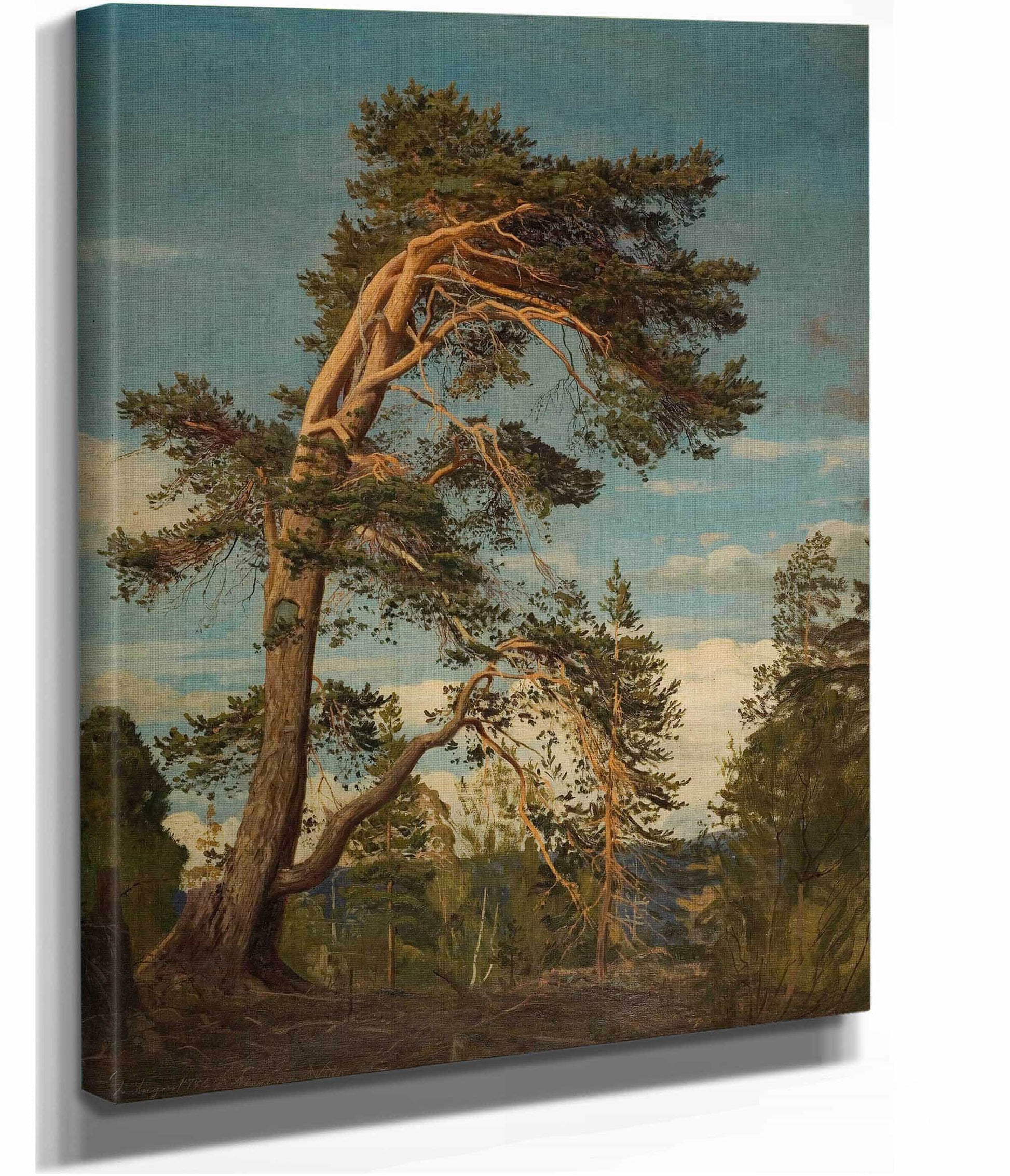 Gammel Furu Overst I Setesdal by Amaldus Nielsen