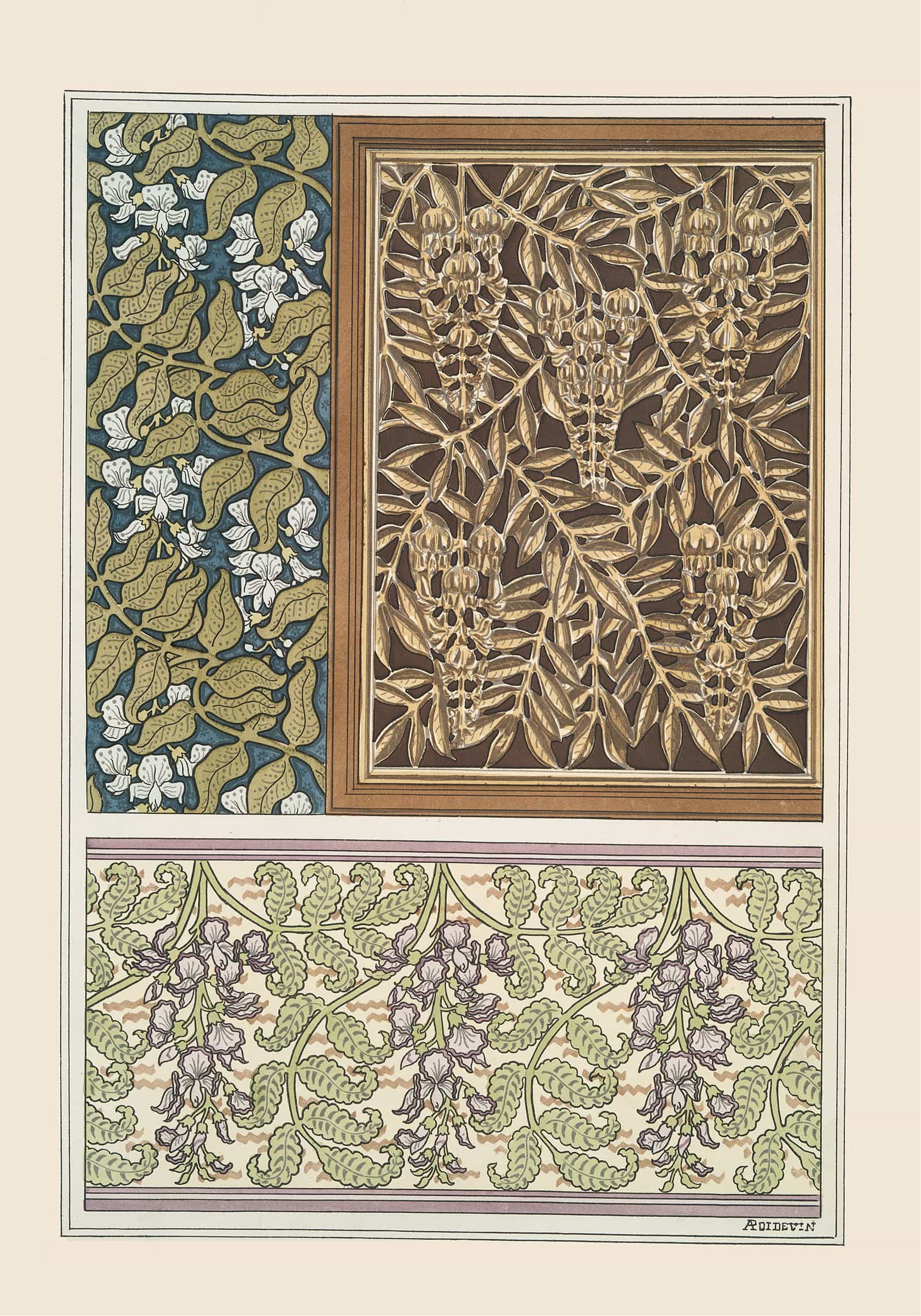 Glycine by Maurice Pillard Verneuil