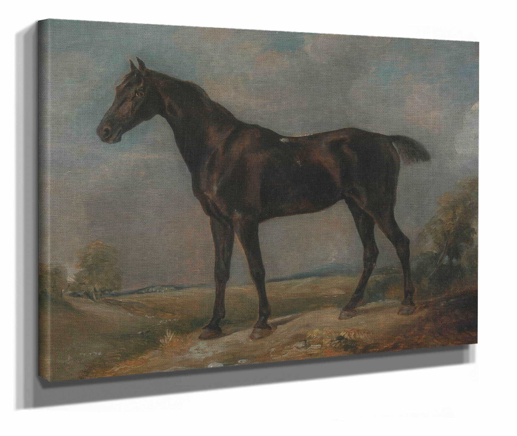 Golding Constables Black Riding Horse by John Constable