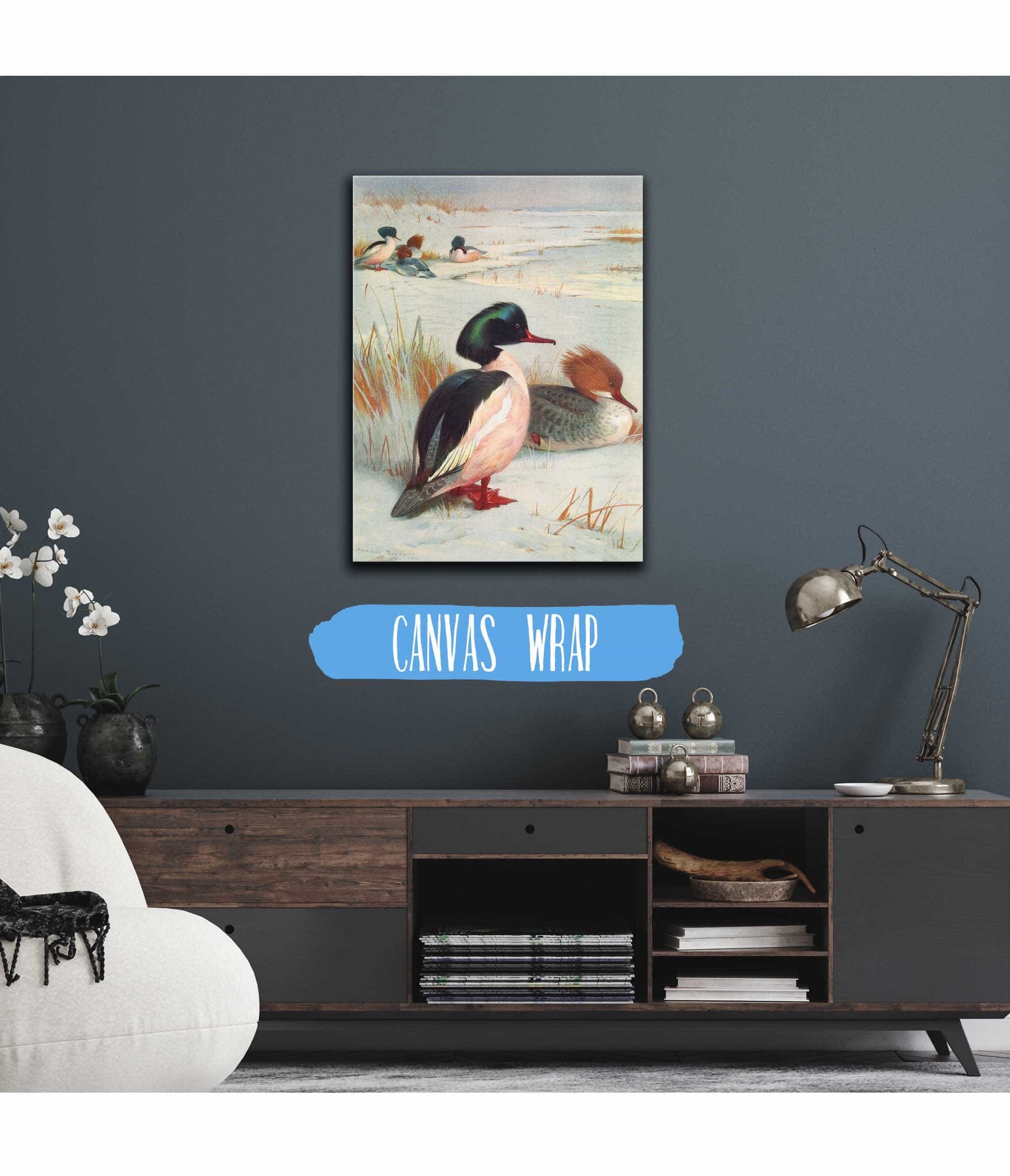 Goosander by Archibald Thorburn