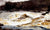 Grand Discharge Lake Saint John By Winslow Homer