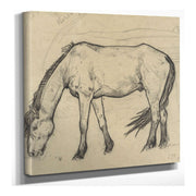 Grazend Paard Te Noordwijk by Richard Nicolaus Roland Holst