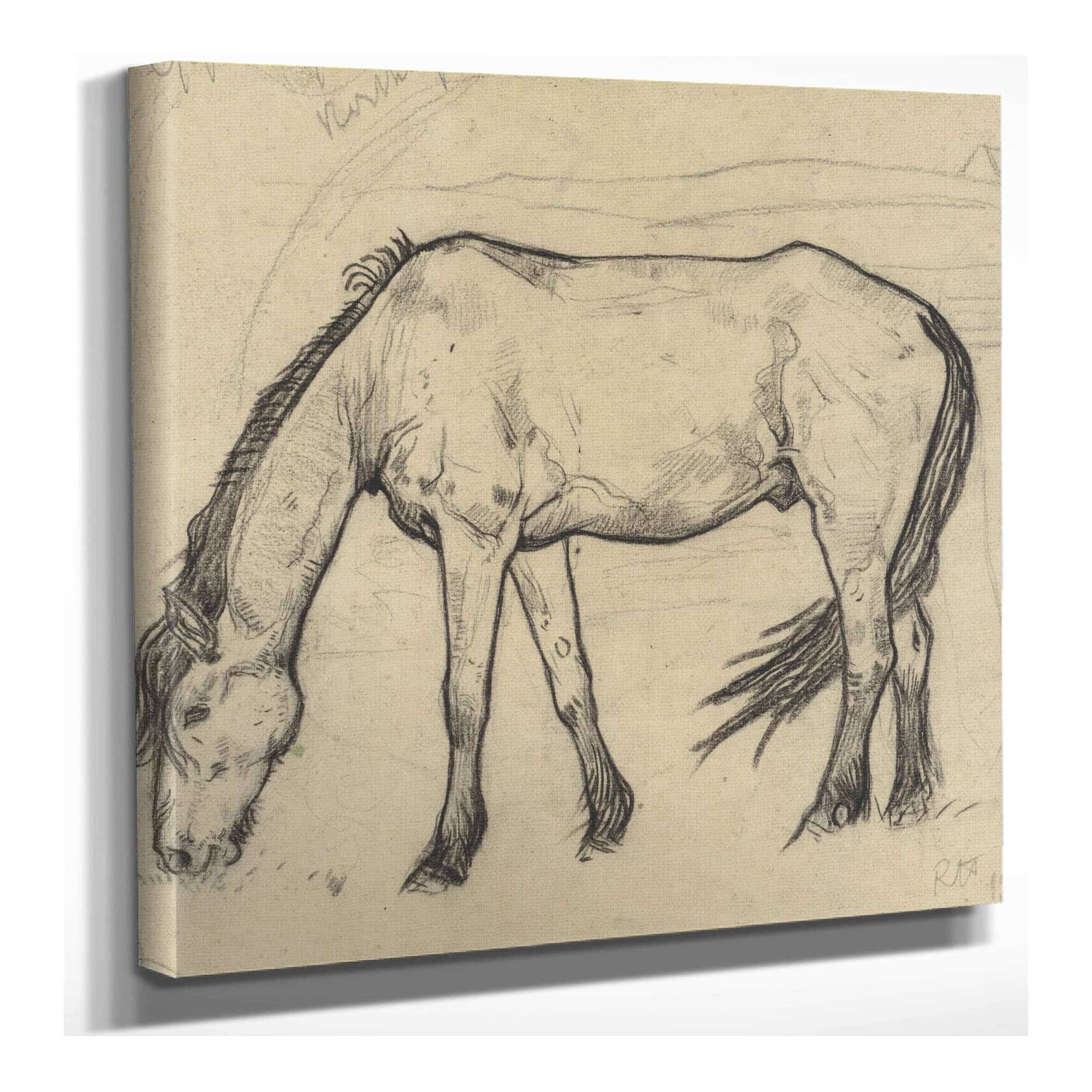 Grazend Paard Te Noordwijk by Richard Nicolaus Roland Holst