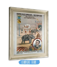 ‘Great Showman’: 1882 Barnum Circus