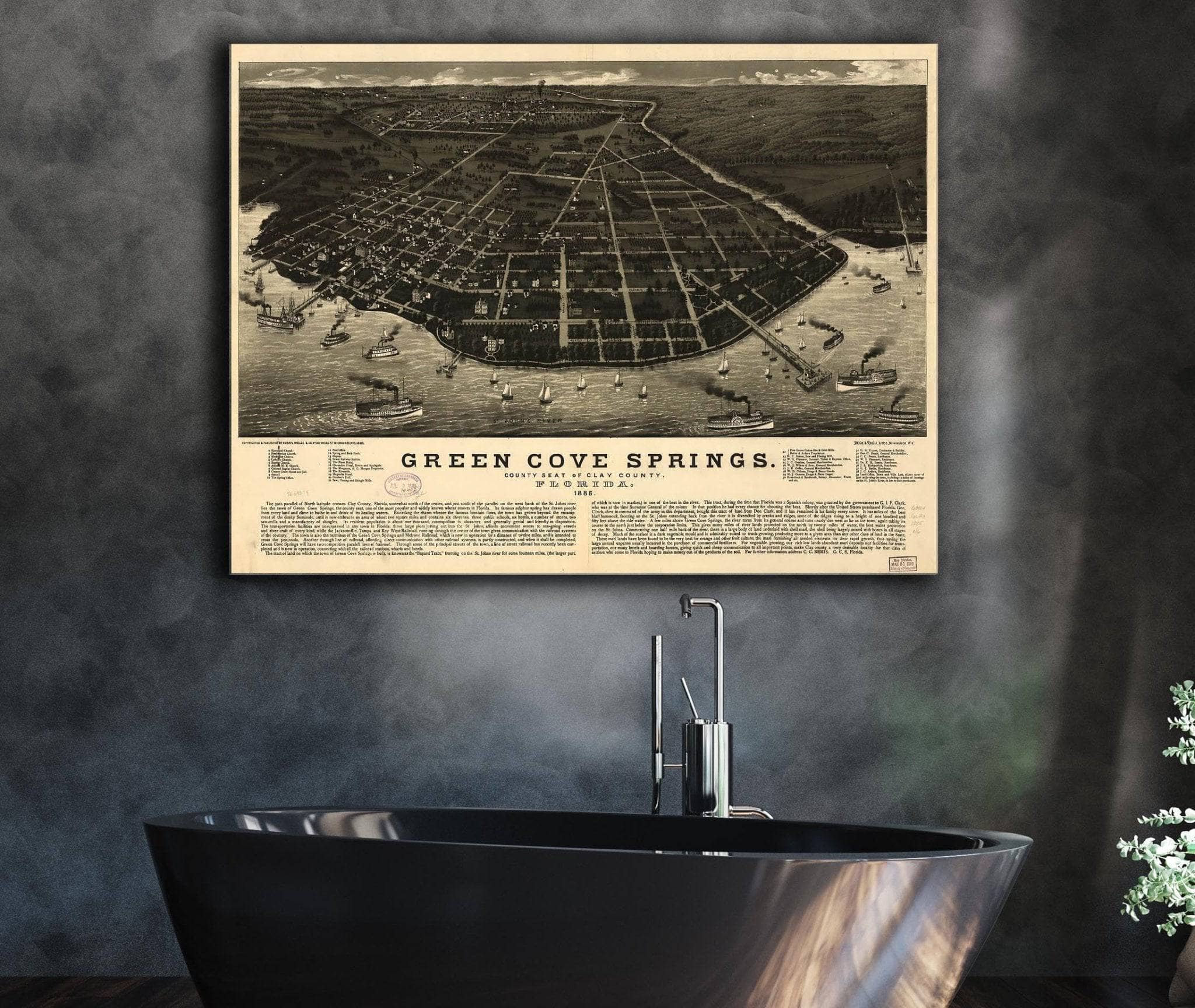 Green Cove Springs County Seat Of Clay County Florida 1885 State of Florida