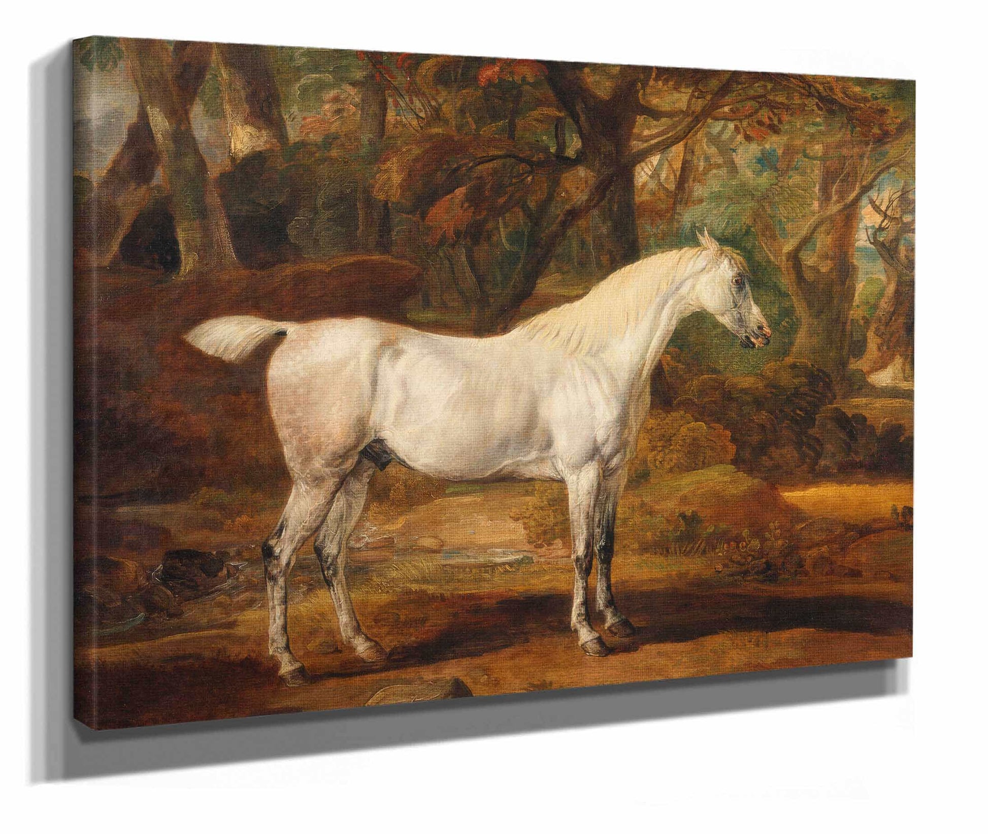 Grey Arabian Stallion The Property Of Sir Watkin Williams Wynn by James Ward