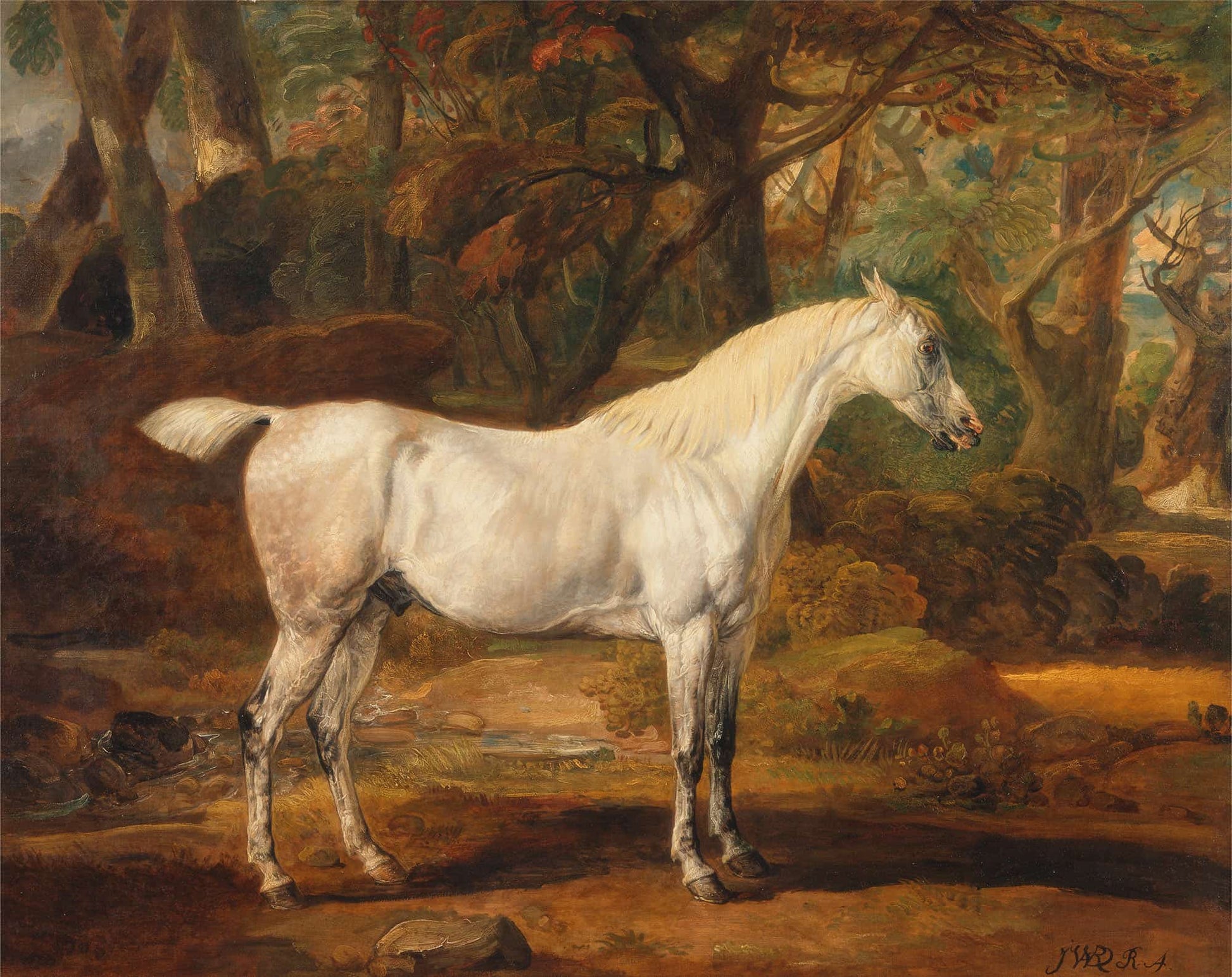 Grey Arabian Stallion The Property Of Sir Watkin Williams Wynn by James Ward
