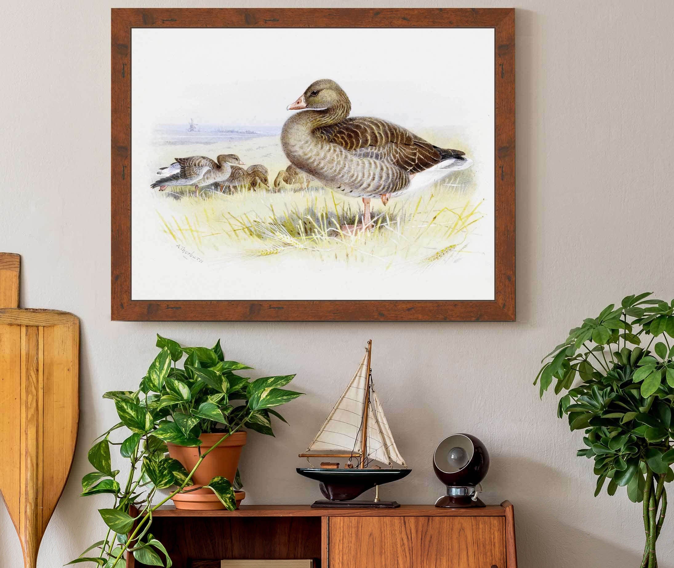 Greylag Goose by Archibald Thorburn