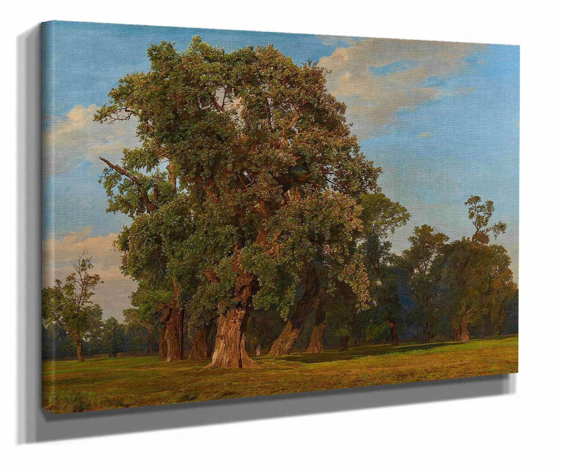 Grobe Praterlandschaft by Ferdinand Georg Waldmuller