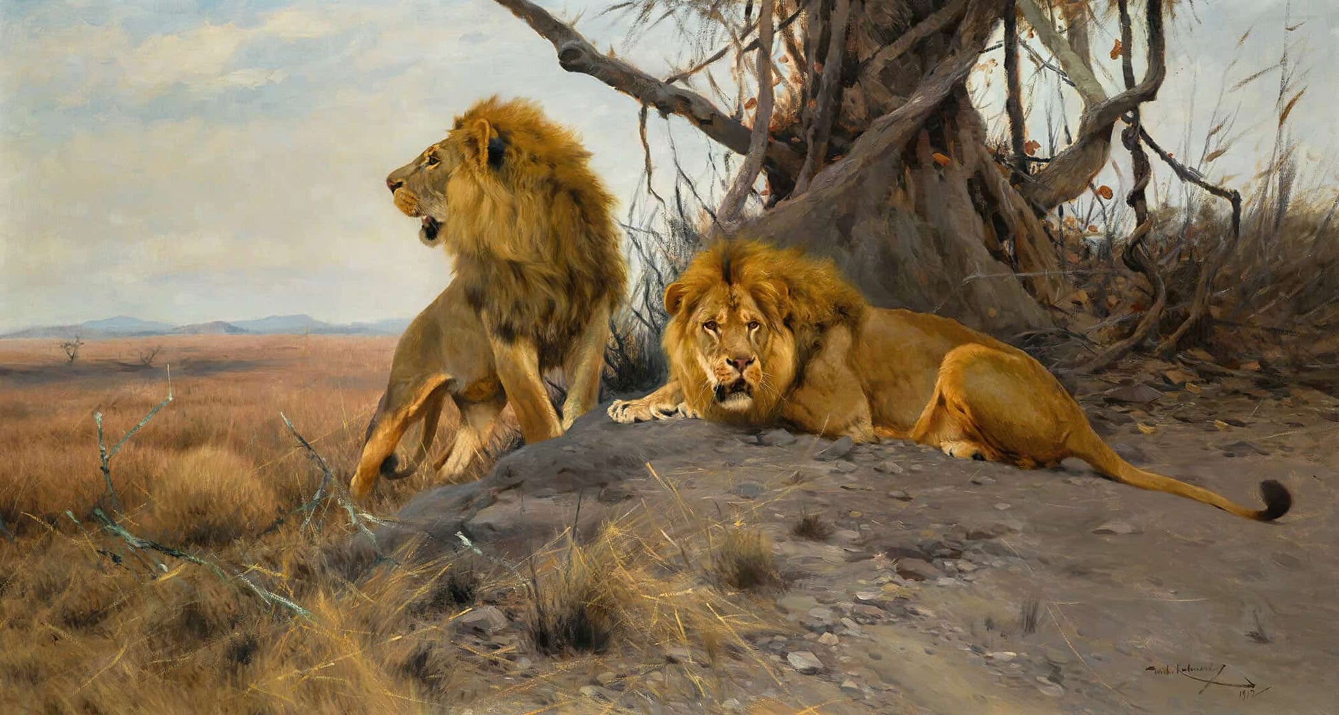 Grollende Lowen by Wilhelm Kuhnert