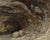 Grotto Of Sarrazine Near Nans Sous Sainte Anne By Jean Desire Gustave Courbet