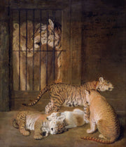Group Of Whelps Bred Between A Lion And A Tigress by Jacques Laurent Agasse