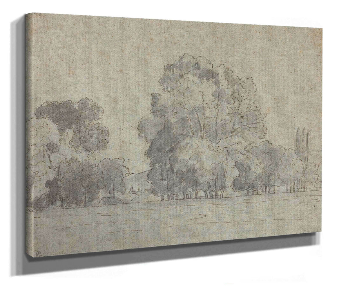 Grove Of Trees by Camille Pissarro