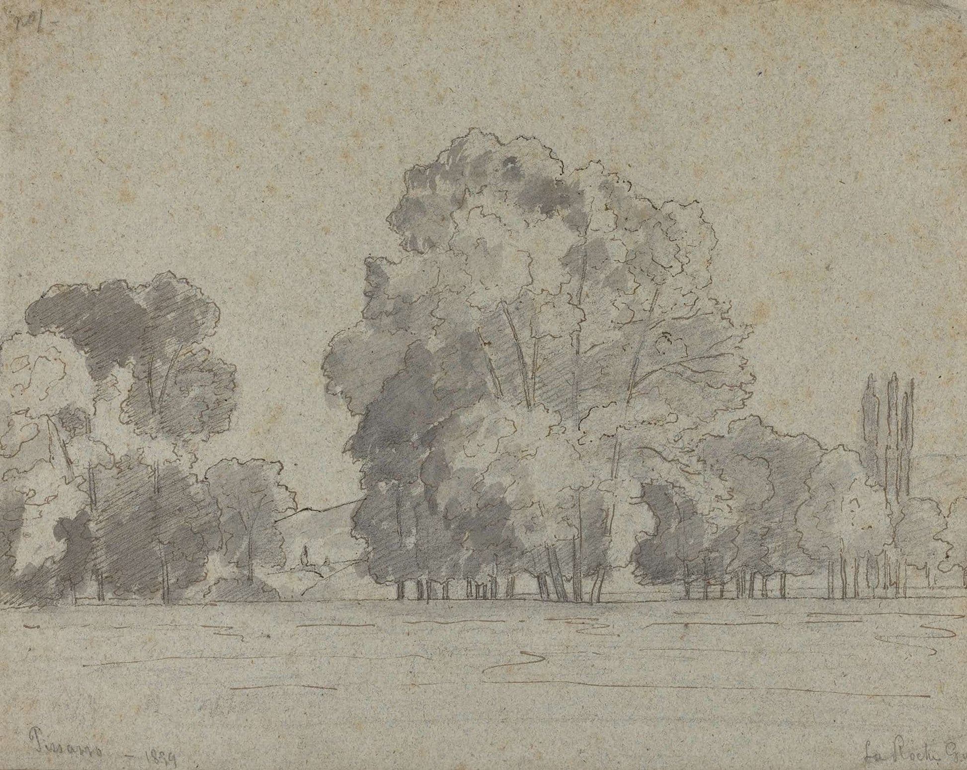 Grove Of Trees by Camille Pissarro