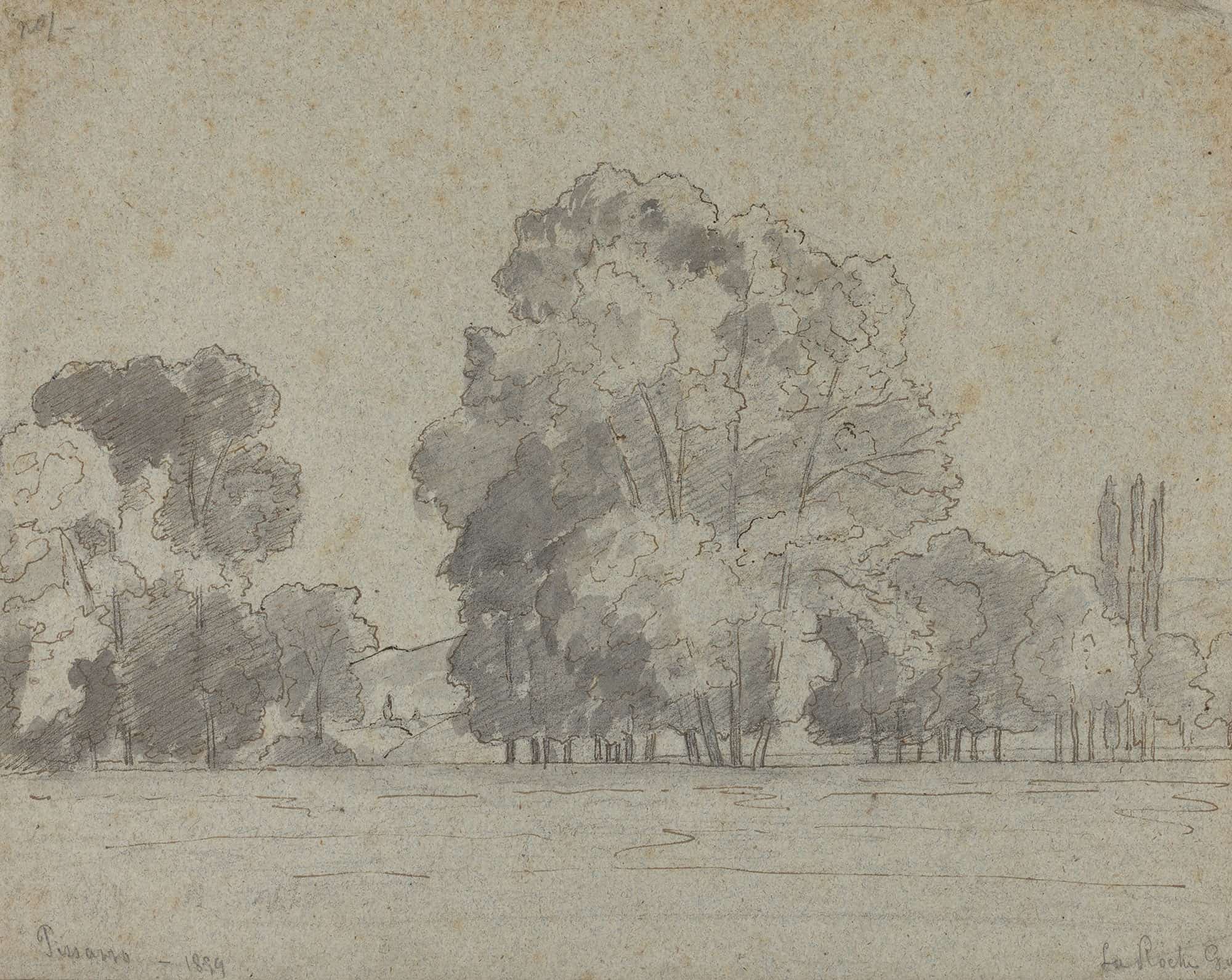 Grove Of Trees by Camille Pissarro