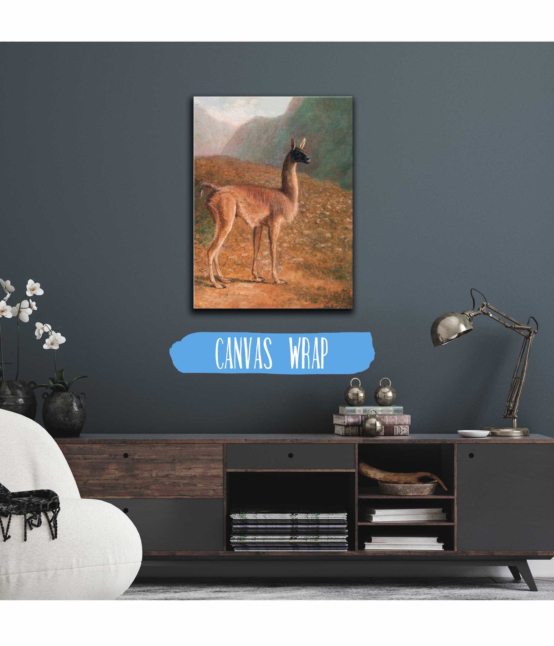 Guanaco by Jacques Laurent Agasse