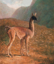 Guanaco by Jacques Laurent Agasse