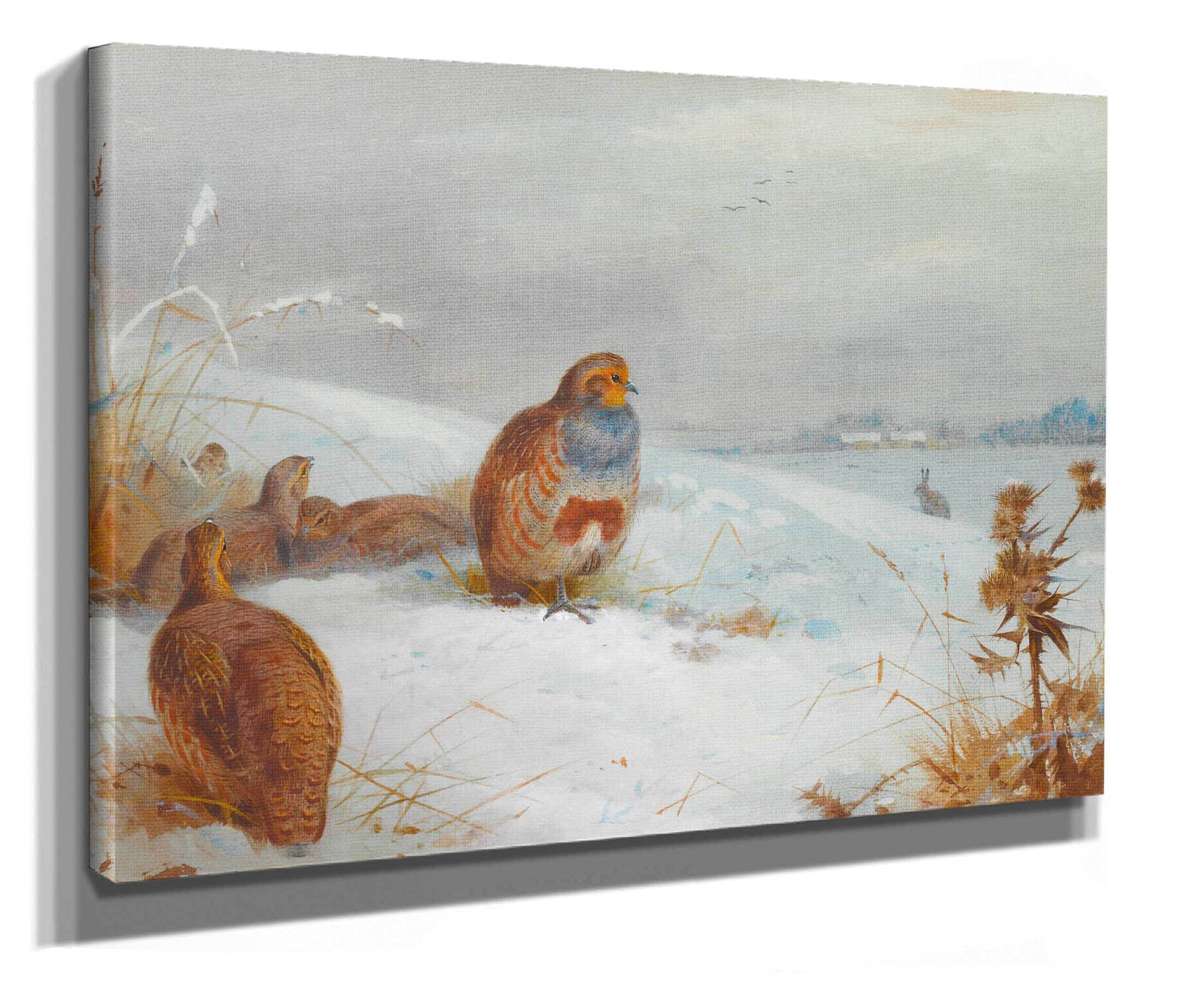 Hard Times Partridges And A Hare by Archibald Thorburn