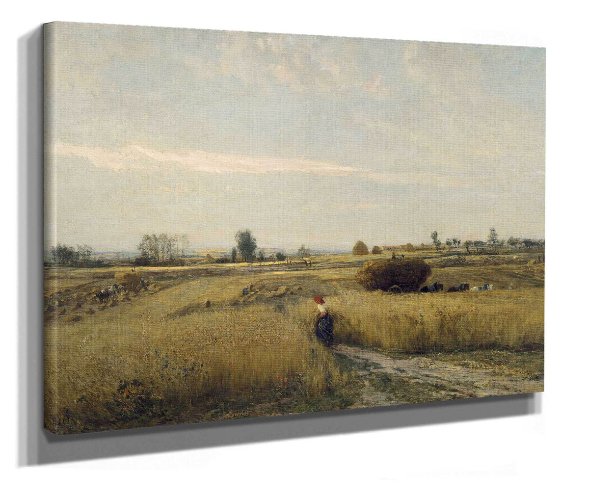 Harvest by Charles Francois Daubigny