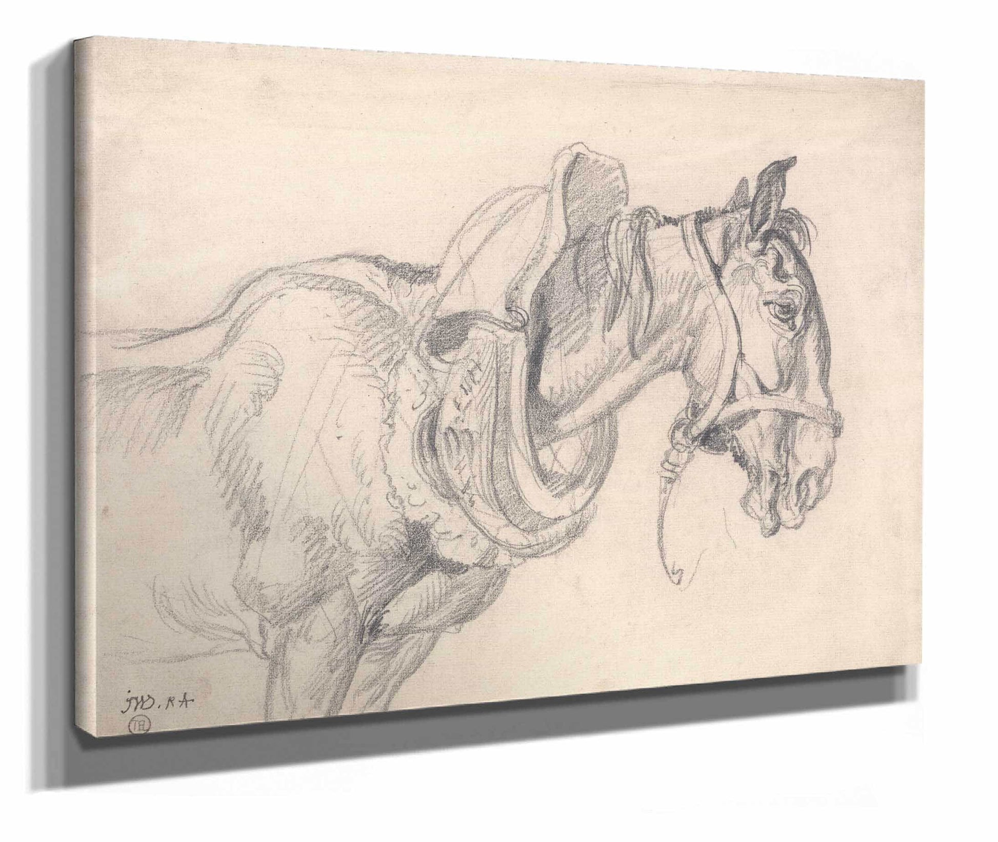 Head And Shoulders Of A Cart Horse by James Ward
