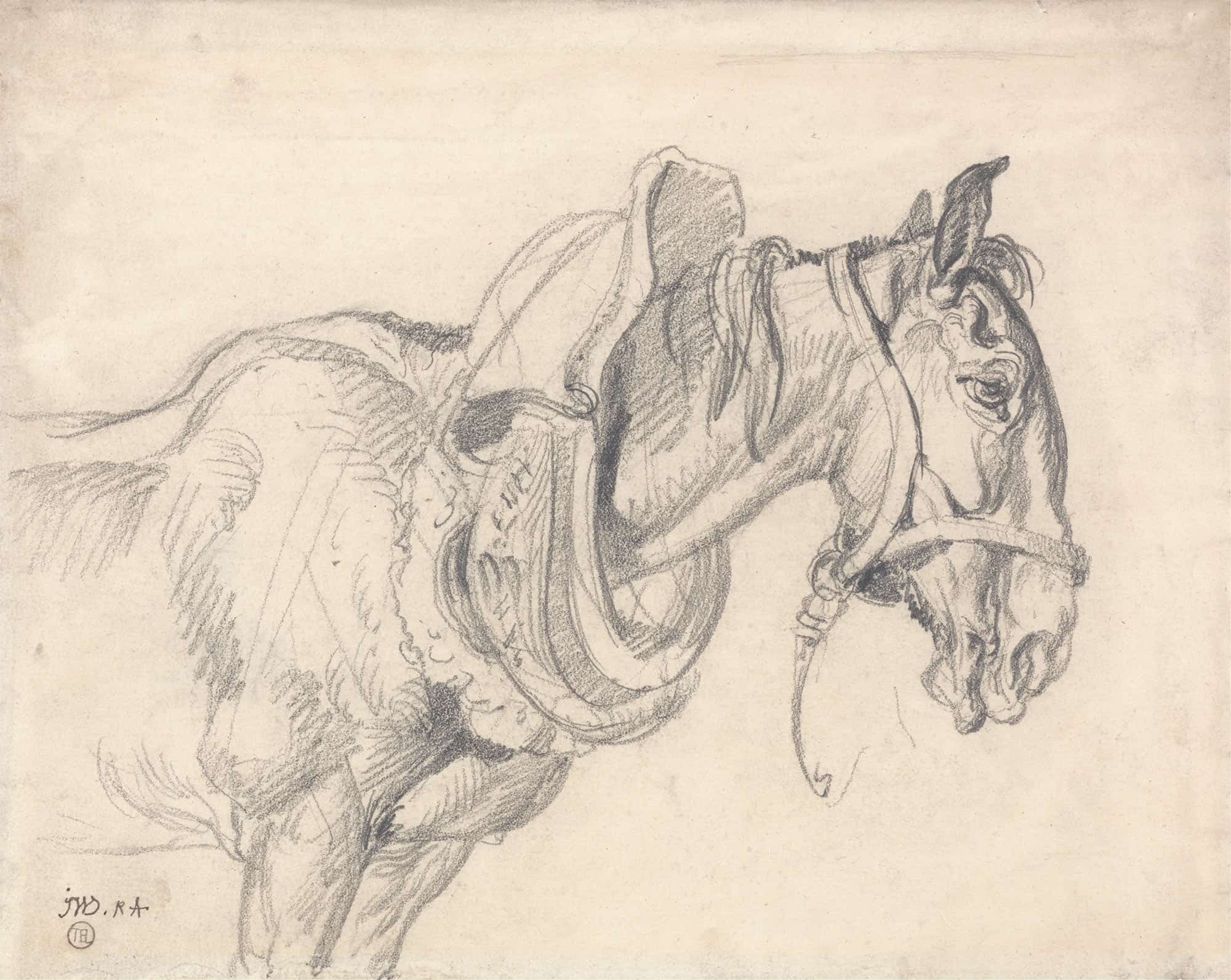 Head And Shoulders Of A Cart Horse by James Ward