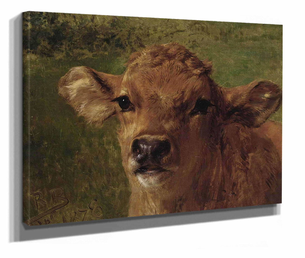 Head Of A Calf by Rosa Bonheur
