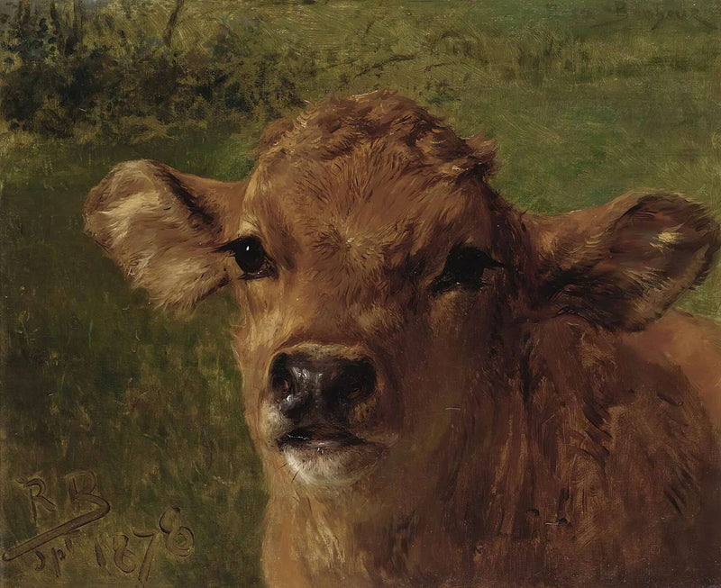 Head Of A Calf by Rosa Bonheur
