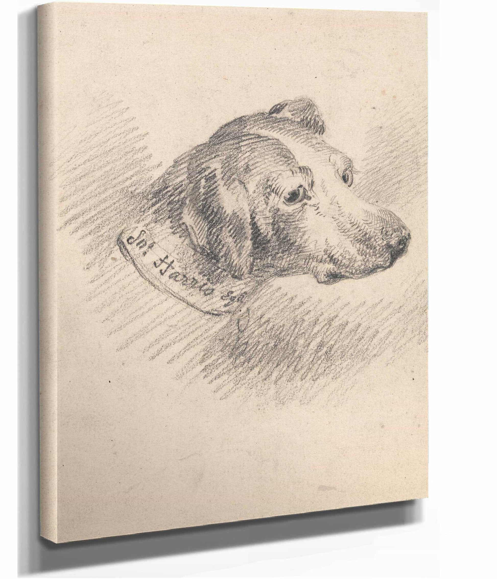 Head Of A Hound by George Morland