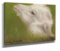 Head Of A Lamb by Rosa Bonheur