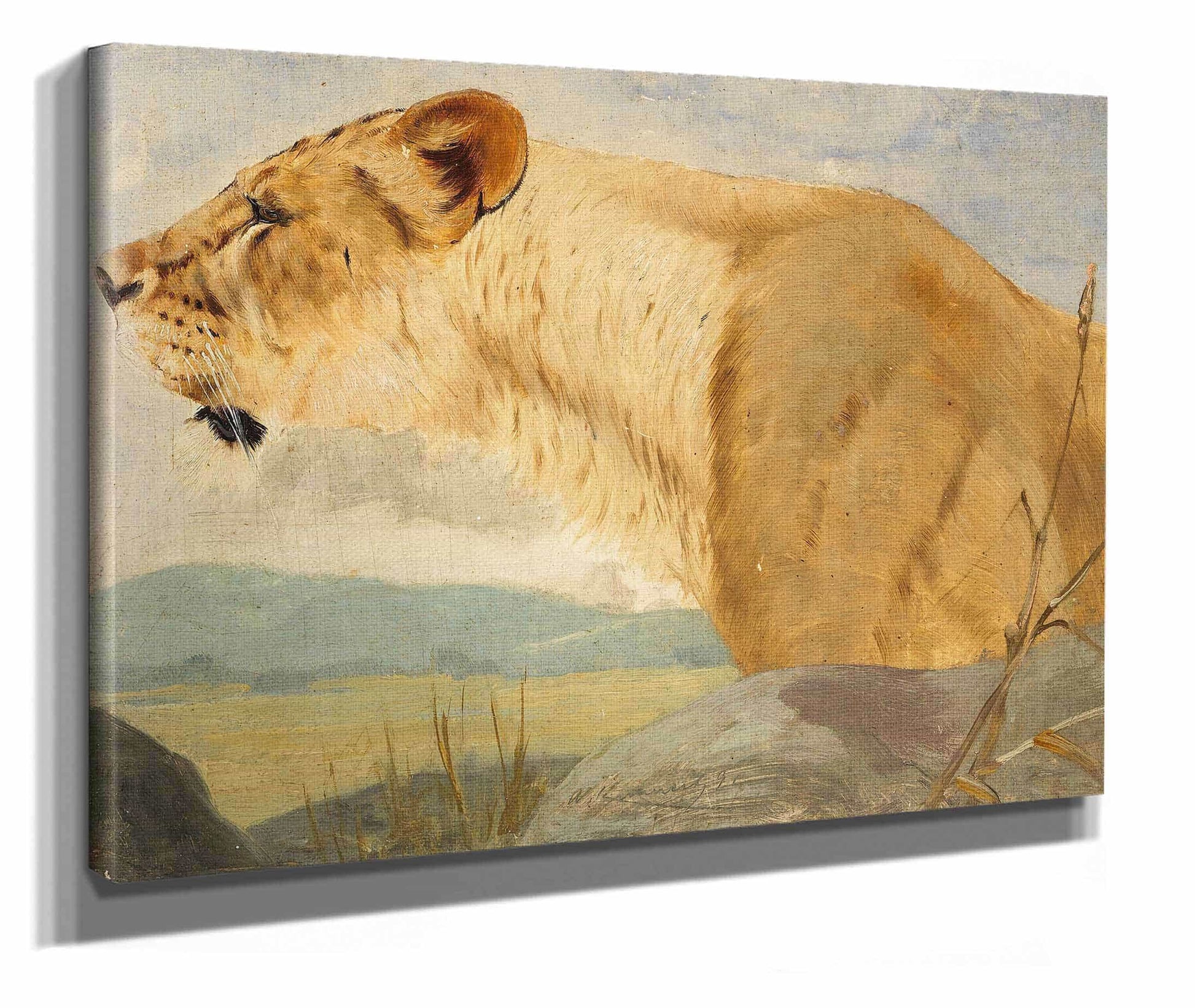Head Of A Lioness by Wilhelm Kuhnert