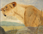 Head Of A Lioness by Wilhelm Kuhnert