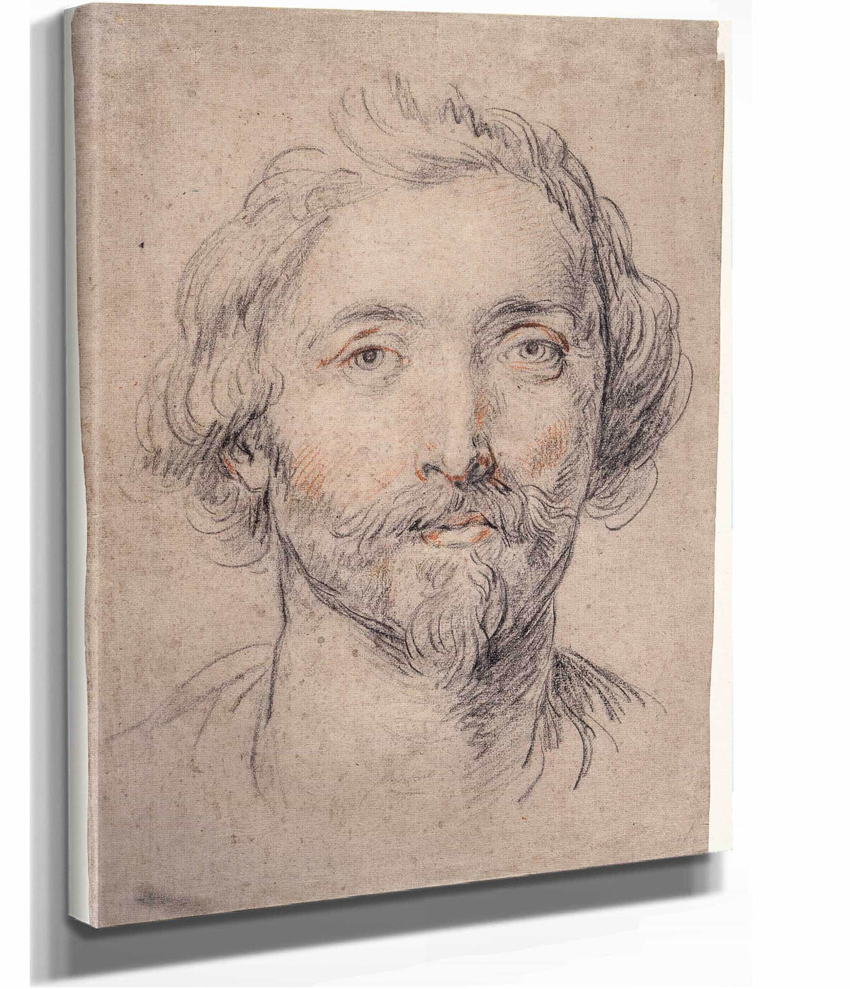 Head Of A Man by Guido Reni